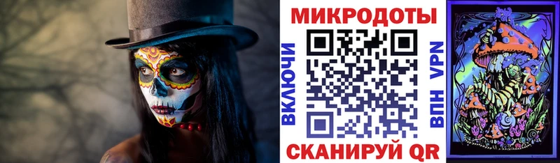 как найти наркотики  Советская Гавань  Галлюциногенные грибы Magic Shrooms 